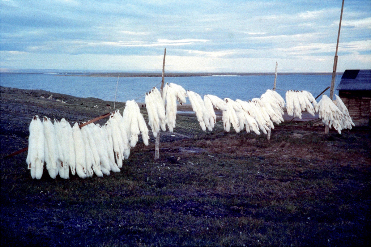 2. Inuvialuit Ethnonyms and Toponyms as a Reflection of Identity, Language,  and Memory” in “Memory And Landscape”