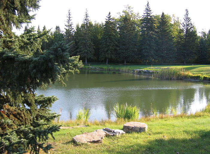 A photograph of a pond surrounded by green lush grass on the banks. Spruce trees line the banks in the foreground and background.