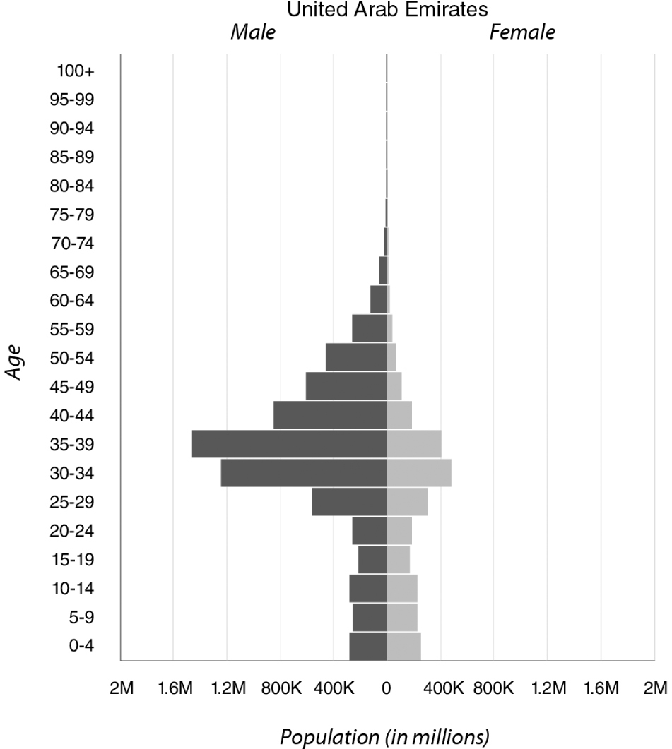 Figure 12.2b shows the population structure for the United Arab Emirates from 0 to 100+ years of age. Bars graphing male data are on the left, female data is on the right. The distribution of the graph is roughly spade or arrowhead shaped and is evenly distributed between the male and female sides until the age of 25, above which the male population is substantially larger. This discrepancy is especially pronounced between the ages of 30 and 40.