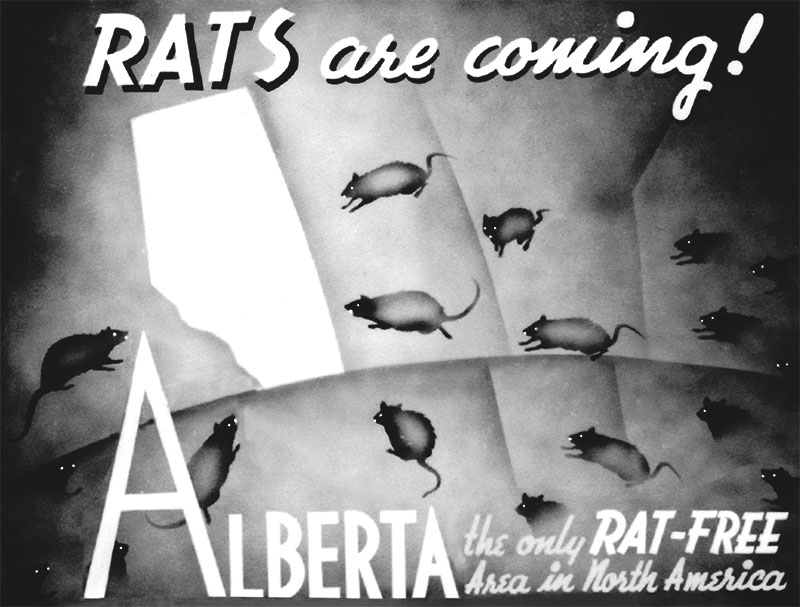 Right-Wing 'Take Back Alberta' Group Purges Top Organizers As It